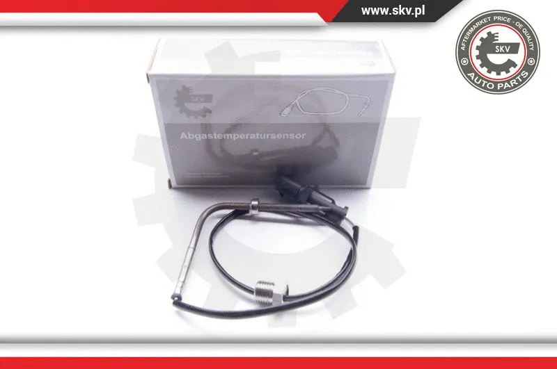 Sensor, exhaust gas temperature (30SKV021)
