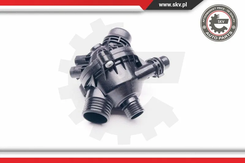 Thermostat, coolant