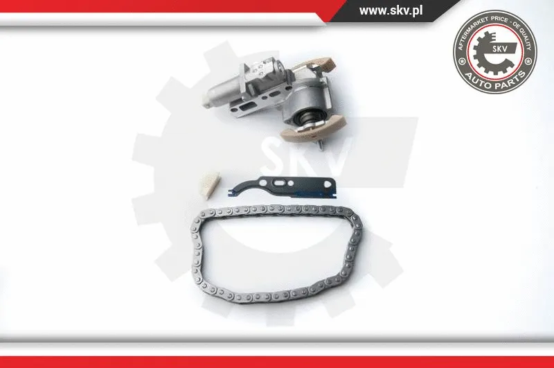Timing Chain Kit (21SKV030)