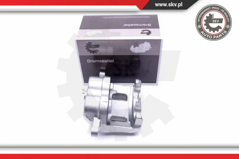 Brake Caliper (46SKV622)