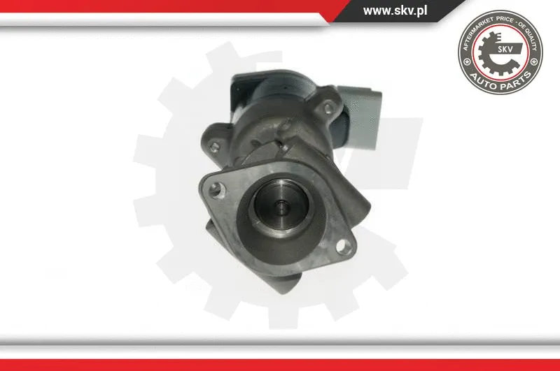 EGR Valve