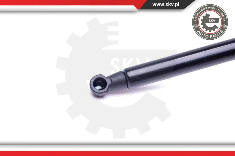Gas Spring, boot/cargo area
