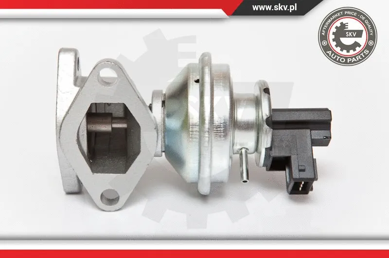EGR Valve (14SKV050)