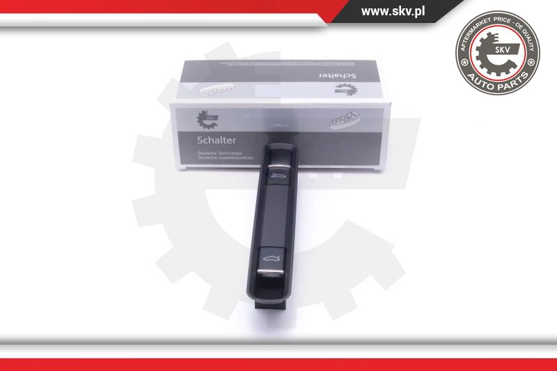 Switch, tailgate release (16SKV520)