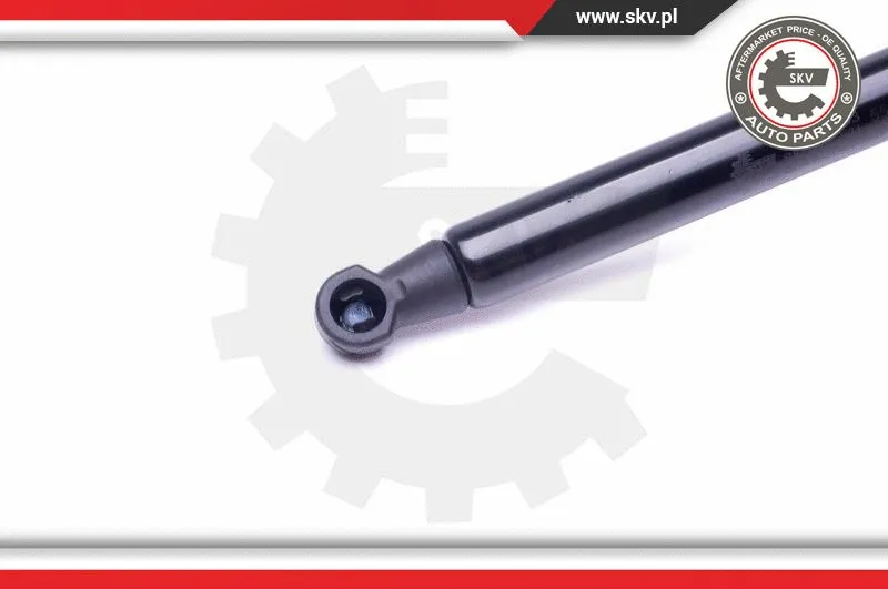Gas Spring, boot/cargo area