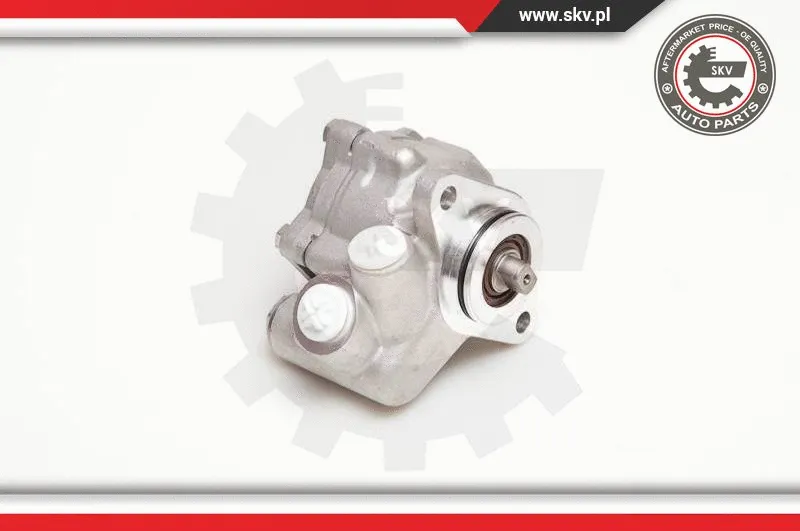 Hydraulic Pump, steering (10SKV051)