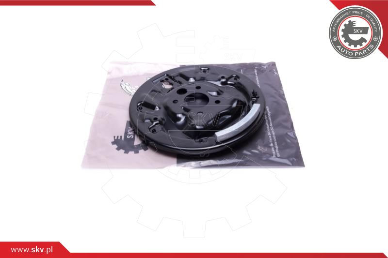 Splash Guard, brake disc (57SKV696)