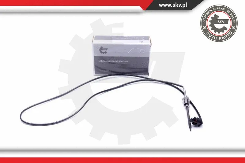 Sensor, exhaust gas temperature (30SKV406)