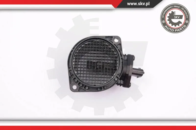 Mass Air Flow Sensor