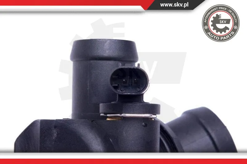 Thermostat, coolant