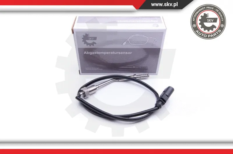 Sensor, exhaust gas temperature (30SKV173)