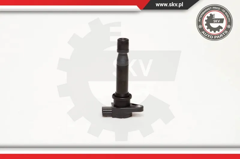 Ignition Coil (03SKV002)