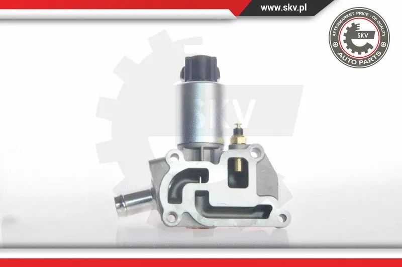 EGR Valve