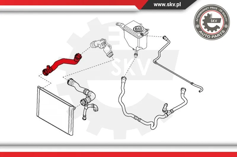 Radiator Hose