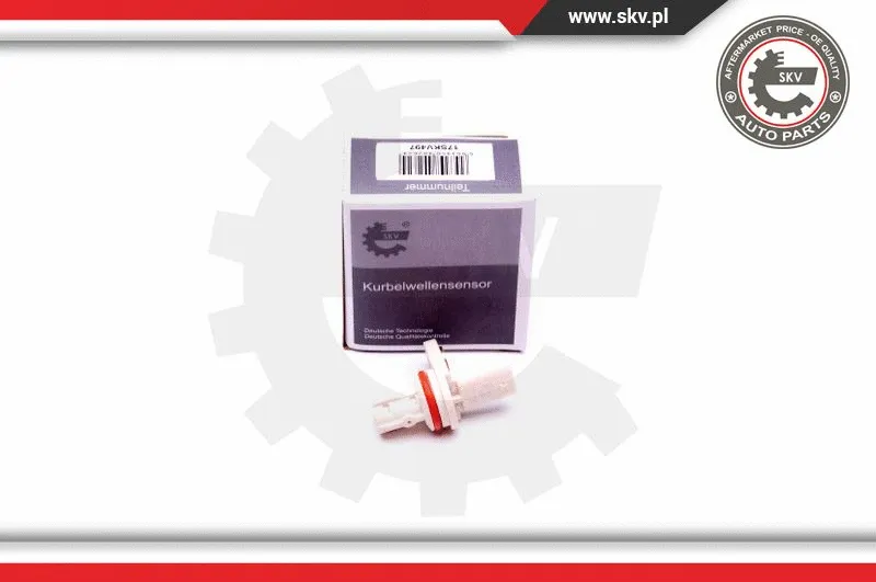 Sensor, camshaft position (17SKV497)