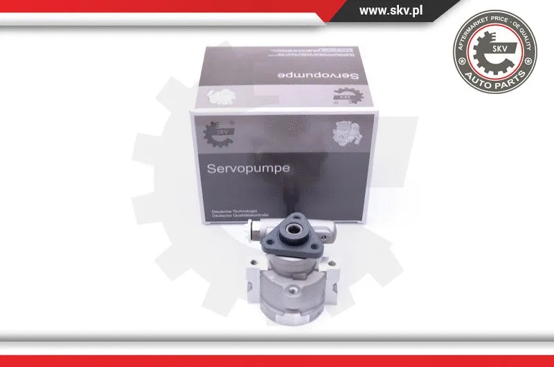 Hydraulic Pump, steering (10SKV258)