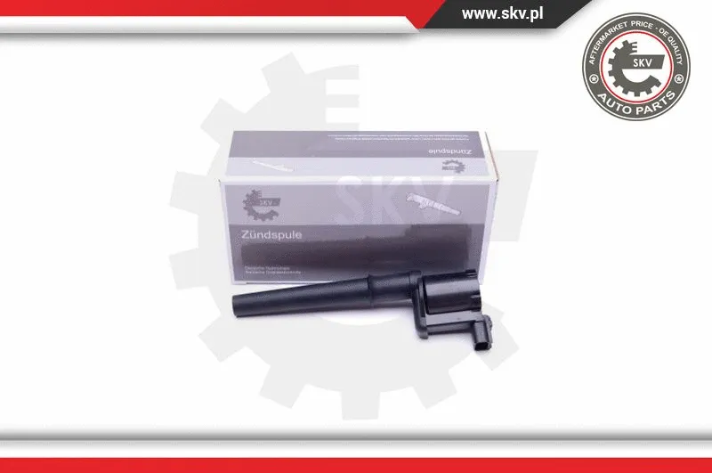 Ignition Coil (03SKV304)