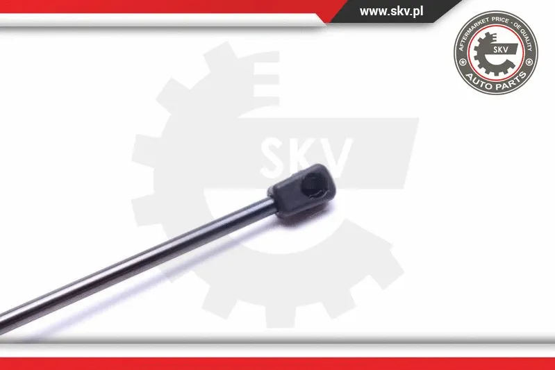 Gas Spring, boot/cargo area