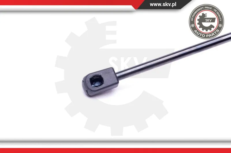 Gas Spring, boot/cargo area