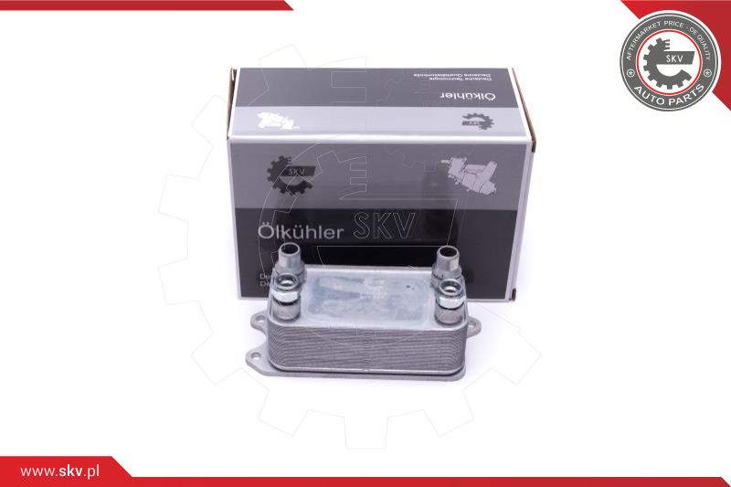 Oil Cooler, engine oil (31SKV215)