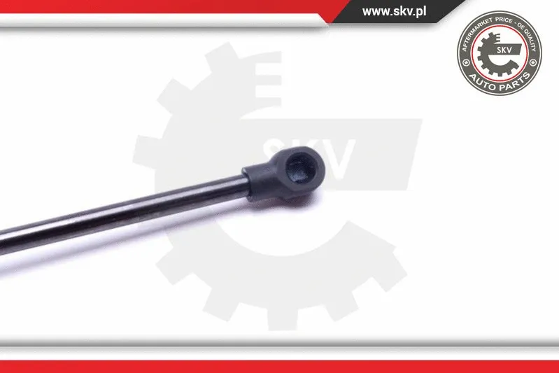 Gas Spring, boot/cargo area