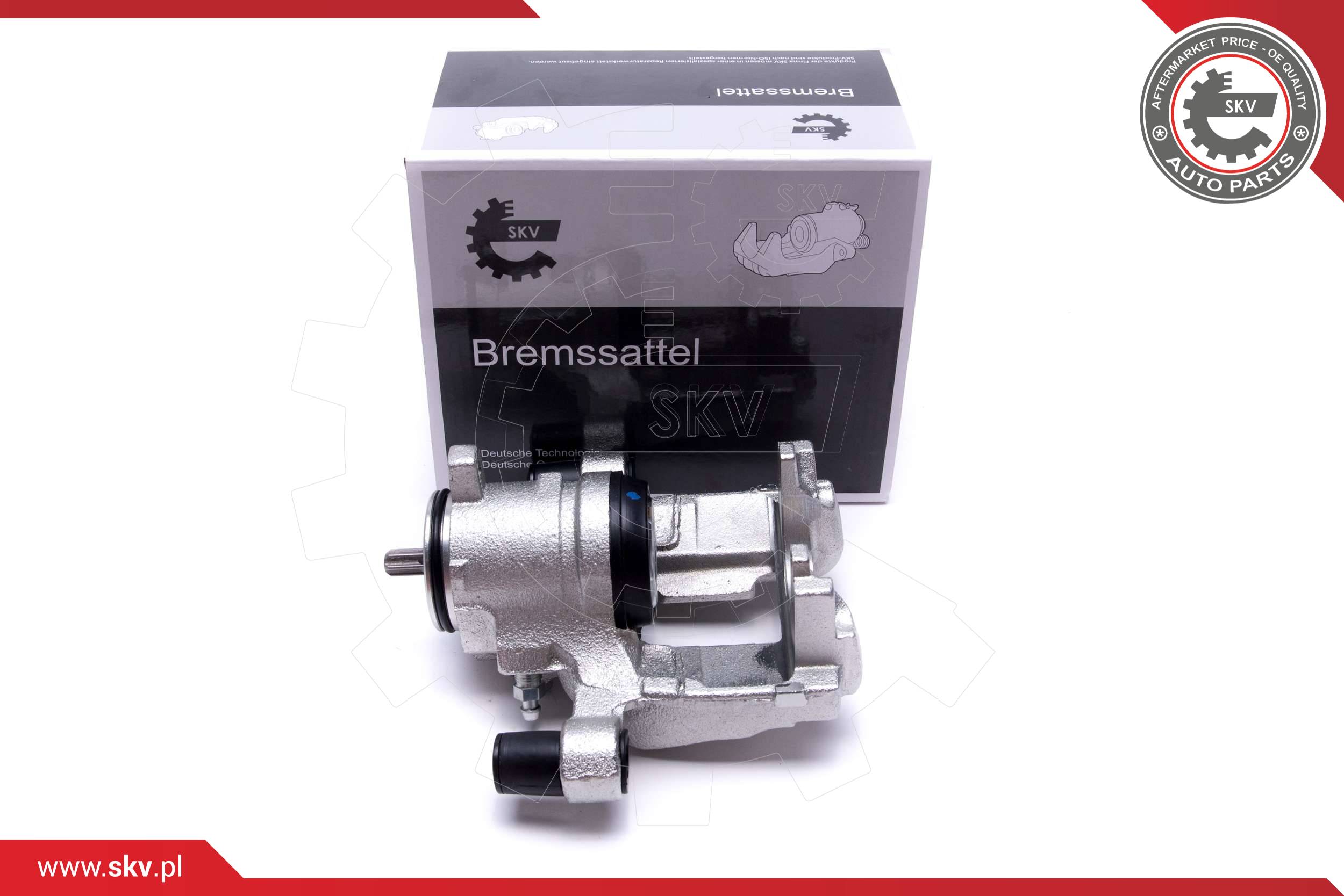 Brake Caliper (56SKV373)