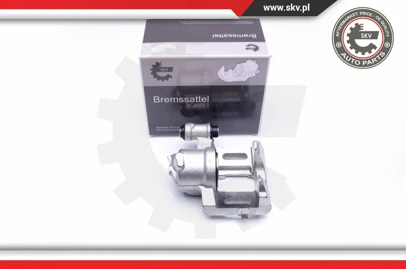 Brake Caliper (42SKV132)