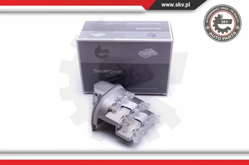 Control Unit, lights (59SKV110)