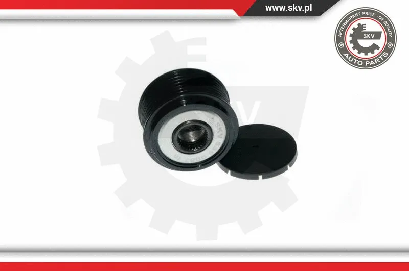 Alternator Freewheel Clutch (11SKV040)