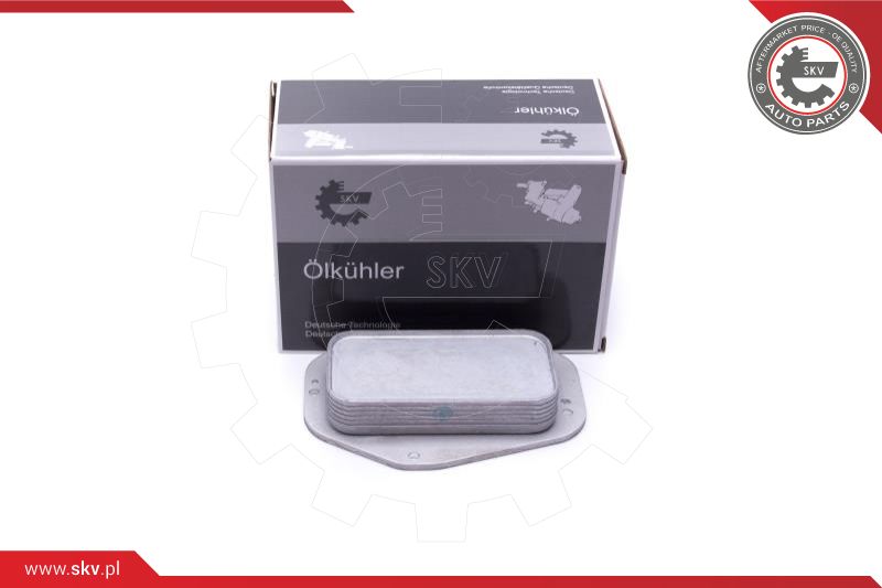Oil Cooler, engine oil (31SKV231)