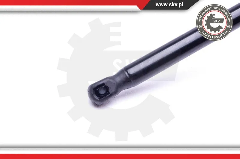 Gas Spring, boot/cargo area