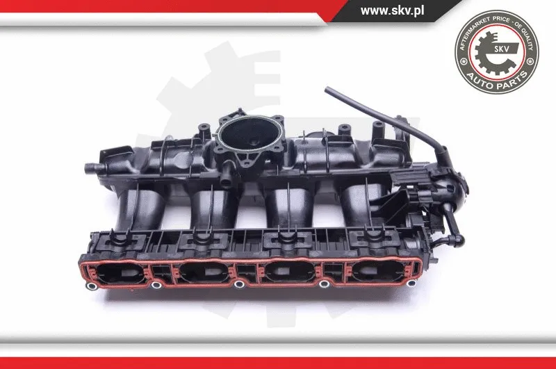 Intake Manifold Module