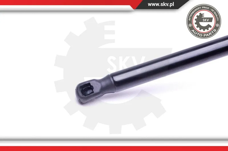 Gas Spring, boot/cargo area