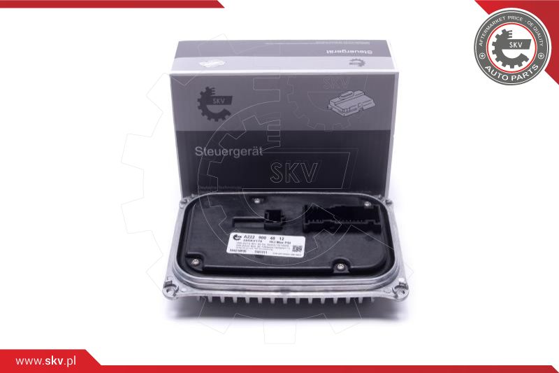 Control Unit, lights (59SKV178)