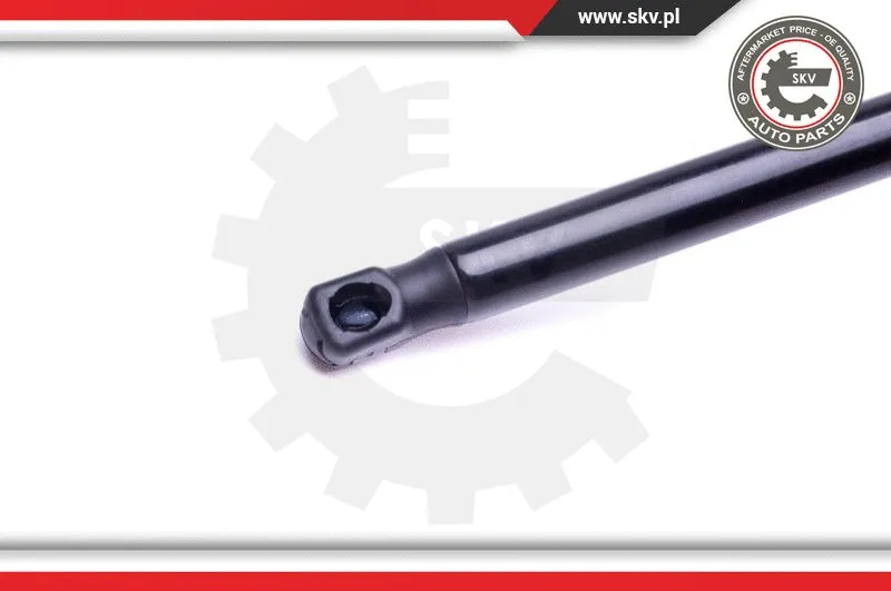 Gas Spring, boot/cargo area