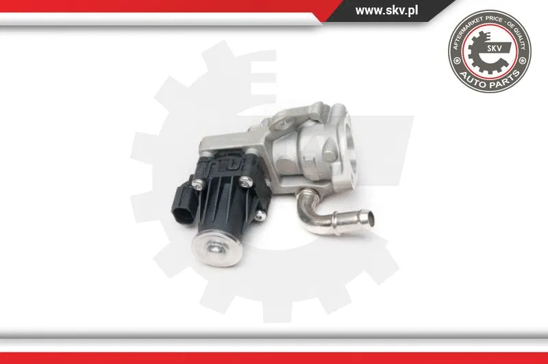 EGR Valve