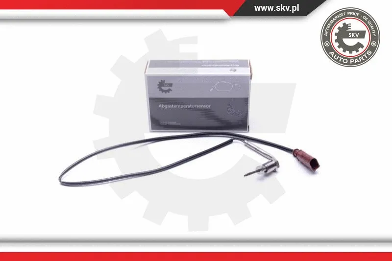 Sensor, exhaust gas temperature (30SKV361)
