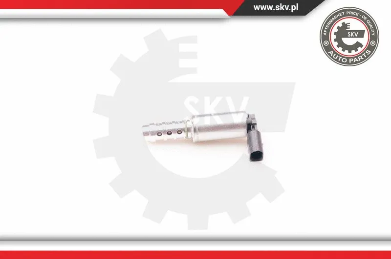 Control Valve, camshaft adjustment (39SKV009)