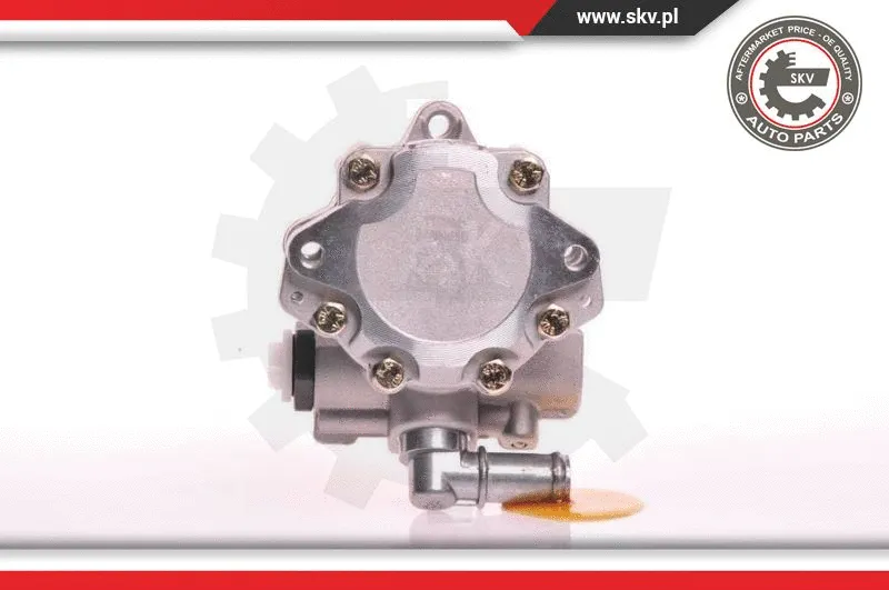 Hydraulic Pump, steering