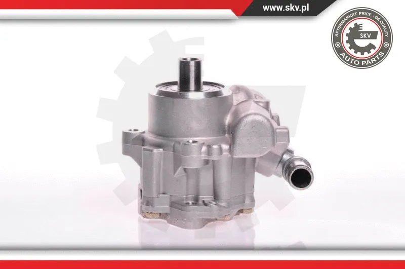 Hydraulic Pump, steering (10SKV117)