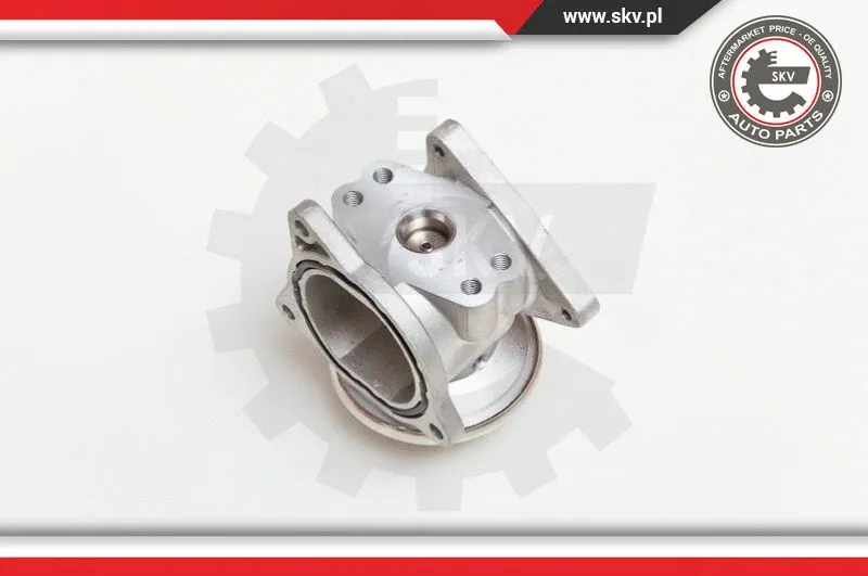 EGR Valve