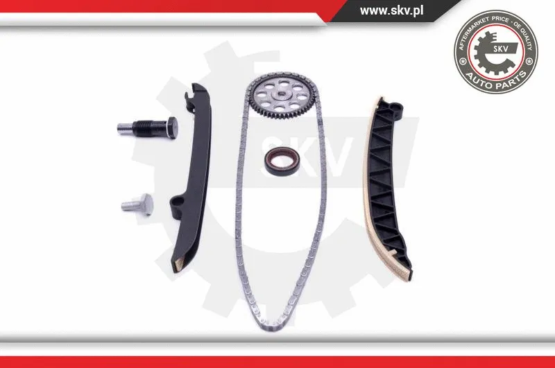 Timing Chain Kit
