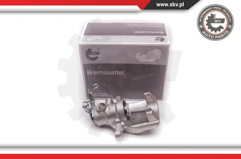 Brake Caliper (23SKV107)