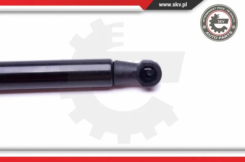 Gas Spring, boot/cargo area