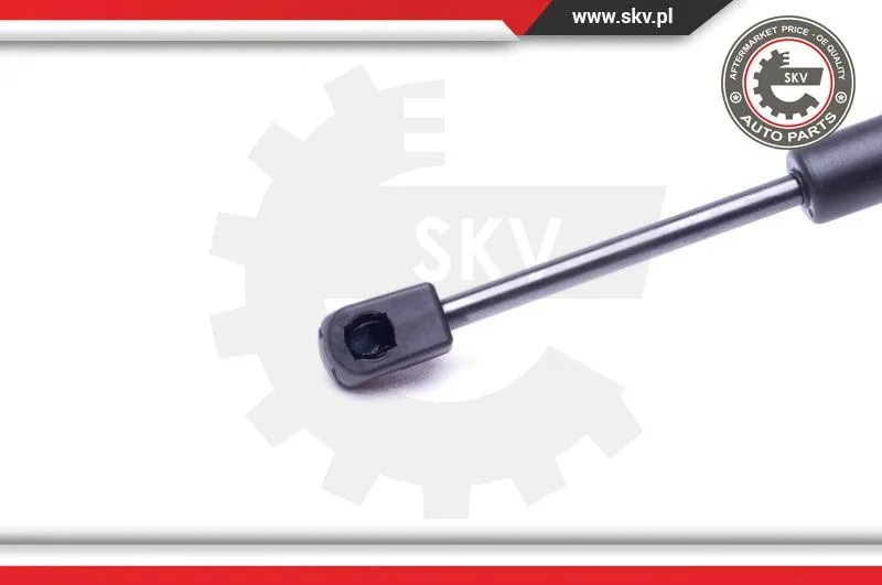 Gas Spring, boot/cargo area