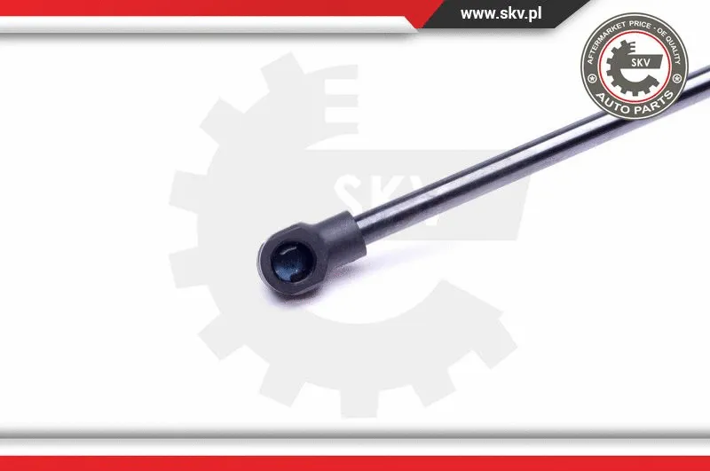 Gas Spring, boot/cargo area
