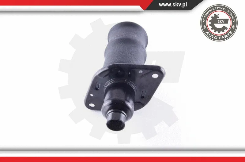 Air Spring, suspension