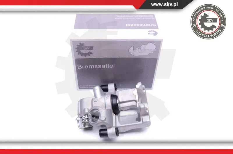 Brake Caliper (44SKV173)
