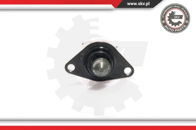 Idle Control Valve, air supply