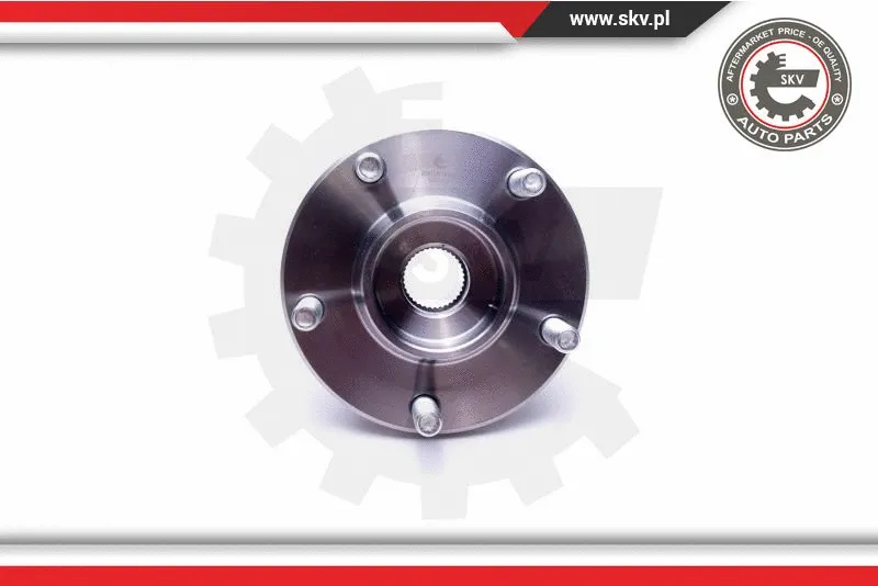 Wheel Bearing Kit